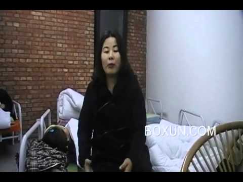 艾未未上海工作室河蟹盛宴前夜 叶海燕 流氓燕 谈感想