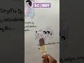 Scandy Ice Cream Hyderabad 🍦 | Viral Flavours & Budget-Friendly Treats!