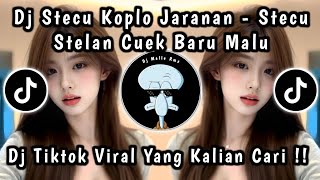 DJ STECU KOPLO JARANAN - DJ STECU STECU VERSI KOPLO VIRAL TIKTOK TERBARU 2025 !!