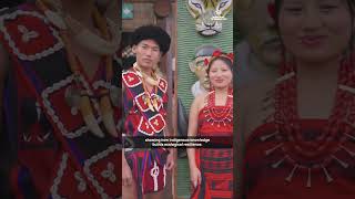Hornbill Festival 2025: Where Tradition Meets Forest Protection