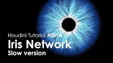 [Houdini Tutorial] 0014 Iris Network (Slow ver.)