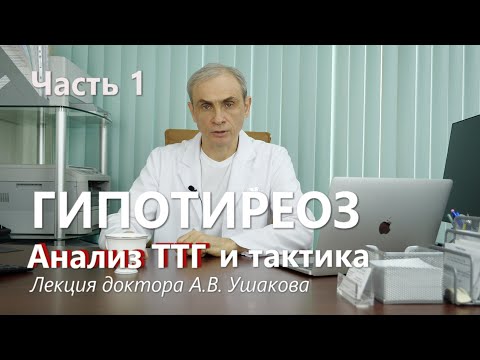 Видео: ТТГ-ын нэг хэсэг мөн үү?