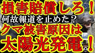 【さぁクマ被害の責任取れ太陽光発電会社！『過去最大の熊被害！原因はメガソーラー施設が熊の生息地に侵入した事だ！』】数年前はマスコミも太陽光と熊被害を連動して報道してたのに何故止めた？何の利権だおらぁ！