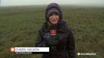 Arctic Tundra Herbivore Impacts in Alaska