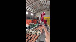 🎮🔴LIVE～Egg Sorting 🥚 2026-05-14
