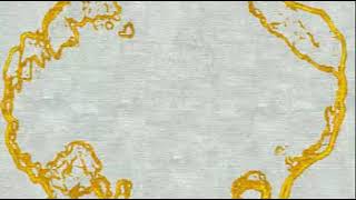 Contract Carpet