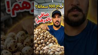 دخل شهري من السطح؟ ها شحال كتربح من 100 سمانة بالدرهم! 🇲🇦💰 #shorts #دار السمان #مشروع مربح