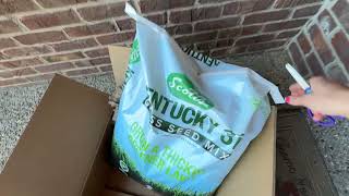 Scotts Kentucky 31 Grass Seed Mix for New Lawns or Overseeding - what we think of this