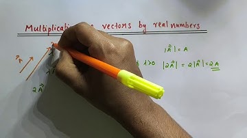 Multiplication of vectors by real numbers // Class 11 Physics // Chapter 4 - Motion in a plane