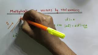 Multiplication of vectors by real numbers // Class 11 Physics // Chapter 4 - Motion in a plane