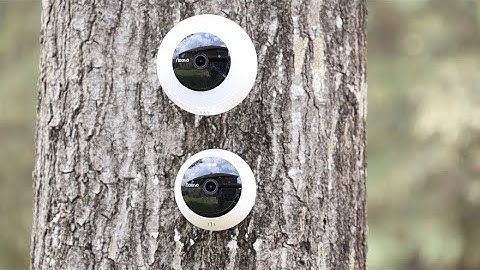 Wireless Easy Install Camera by Noorio B200 vs B210 vs B310 With Color Night Vision