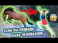 Что если ЛОШАДЬ была бы ЧЕЛОВЕКОМ? / Конный скетч