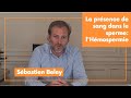 Dr sbastien beley la prsence de sang dans le sperme  lhmospermie