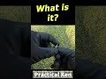 Round & Shiny! - What is it? - Metal Detecting - 9/18/22 - Part 1 No9 #shorts