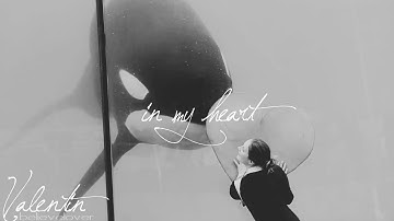 [ Forever ] Favorite Deceased Orca MEP - Part 2 with Valentin