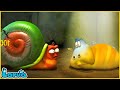 LARVA&#39;S SECRETS | CARTOON MOVIE FOR LIFE | THE BEST OF CARTOON | HILARIOUS CARTOON COMPILATION