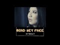 Sia - Bird set free (cover by Kymbat)