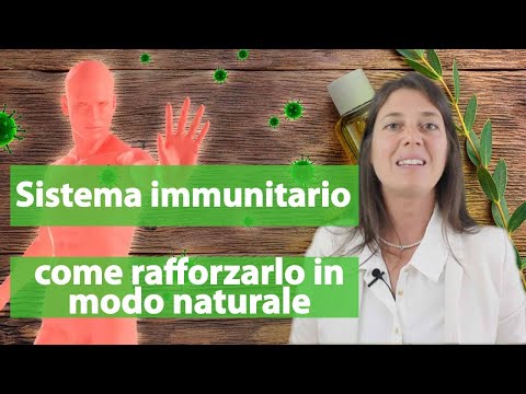 Rafforzare il tuo sistema immunitario: i migliori integratori, alimenti  e rimedi naturali
