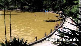 LAGO PARQUE TERRA NOSTRA AÇORES