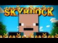 Hypixel SkyBlock Hardcore [70] My Ultimate Plan
