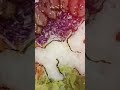 第一次自制捞生🐰😆😄Homemade 🐰😆😄祝：风生水起🌪️🌊钱兔无量💰💰💰😍前兔似锦✨💰💰💰兔年行大运🐇🐇😘#癸卯新年2023#捞生 #cny2023#年十三