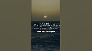 ماهر المعيقلي - سورة البقرة ( برواية حفص عن عاصم ) الأية 74