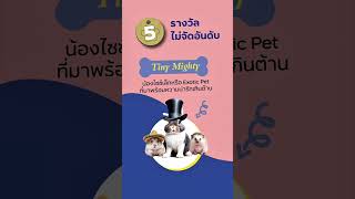 เปิดรับสมัคร MAJOR DEVELOPMENT’S NEXT TOP PET MODEL Season 2 ชิงรางวัลรวมมูลค่ากว่า 100,000 บาท*