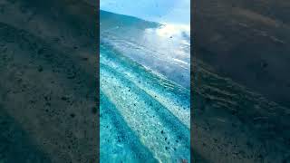 The birds sing as the gentle waves kiss the soft sand. screenshot 1