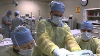 Endodontic Residents Get Unusual Training Opportunity