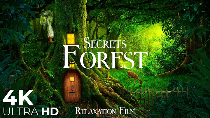 Forest Secrets 4K - Nature Soundscapes Relaxation Film with Beautiful Piano Music