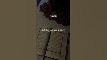 #سورة_البقرة #أحمد_العجمي #قرآن #قرآن_كريم #quran #quran_karim