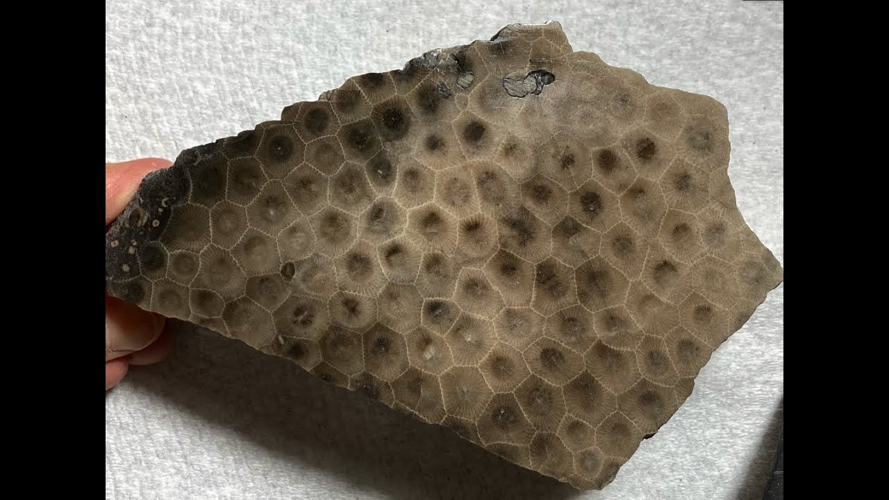 Камень Петоски — как отполировать большой камень Петоски