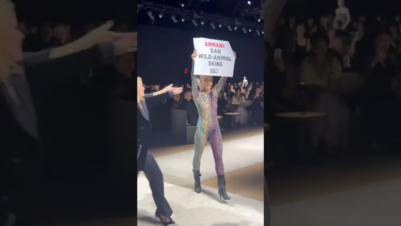 A PETA supporter dripping in blood infiltrated the Giorgio Armani fashion show on Madison Ave...
