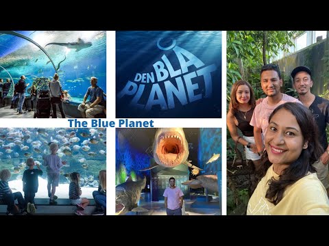 Den Blå Planet | Blue Planet Copenhagen | National Aquarium of Denmark Tour.