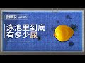 游泳池里到底有多少尿 游泳池里到底有多少尿