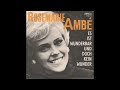 Rosemarie Ambé - Es ist wunderbar und doch kein Wunder