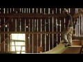 Beginning of video
