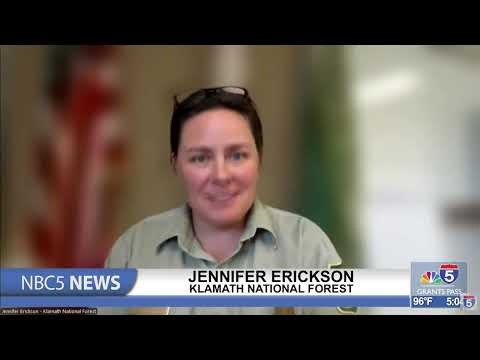 Forests On High Alert After Lightning Storm Multiple Active Fires 