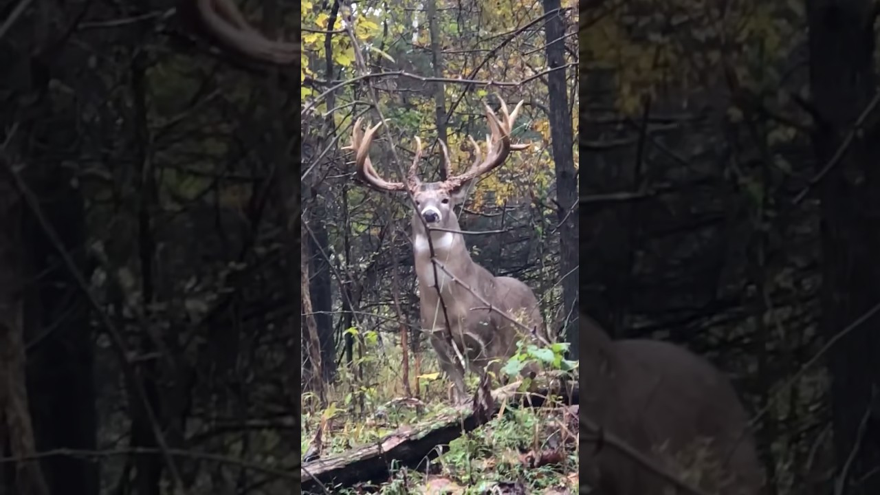 Is that a statue? 👀 