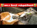 Funny animals mind voice in tamil part 2rmmirajvlog