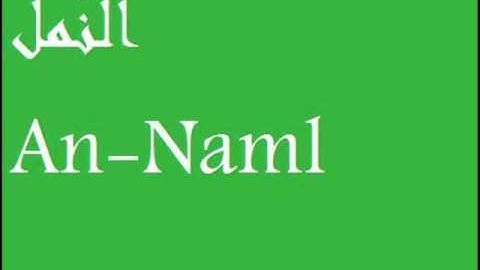 الشيخ ياسر الدوسري سورة النمل An-Naml 3/3