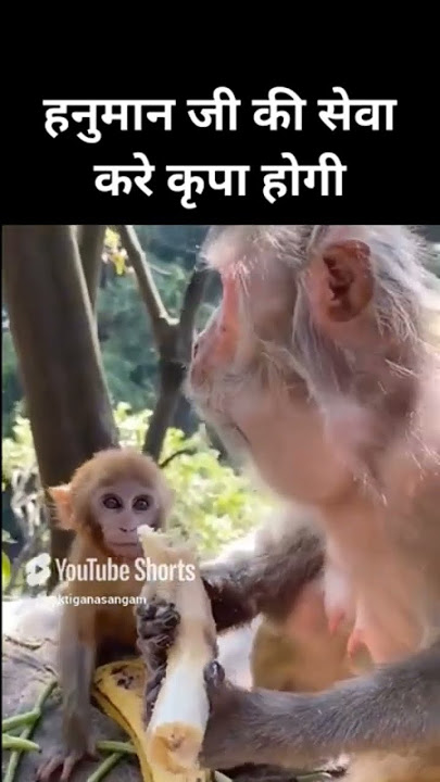 Jai Hanuman #bhajan #hanuman #shani | Patidar Music