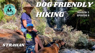 DOG FRIENDLY HIKING - West Coast of Tasmania - Strahan