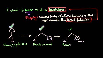 Operant Conditioning: Shaping