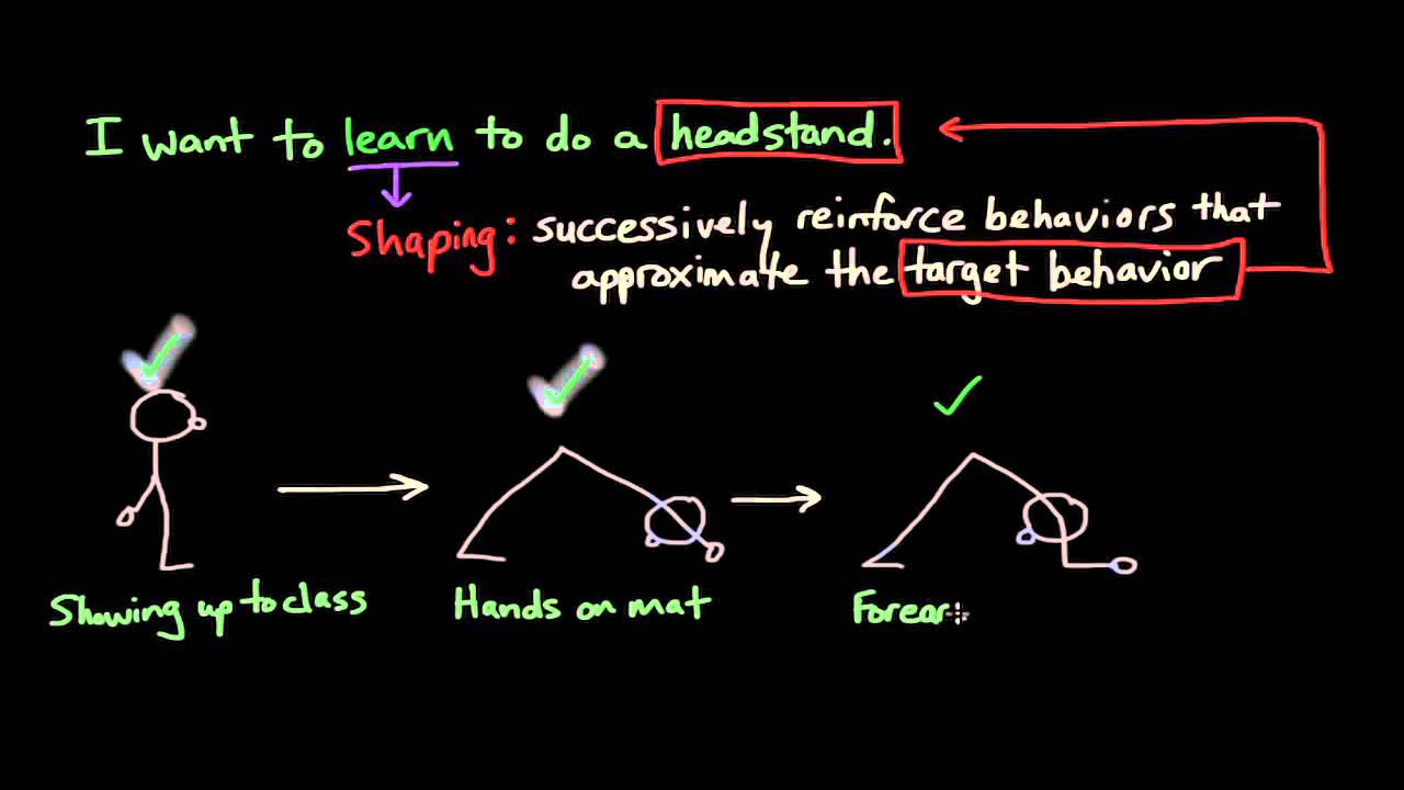 Operant Conditioning Shaping YouTube Operant Conditioning Shaping YouTube