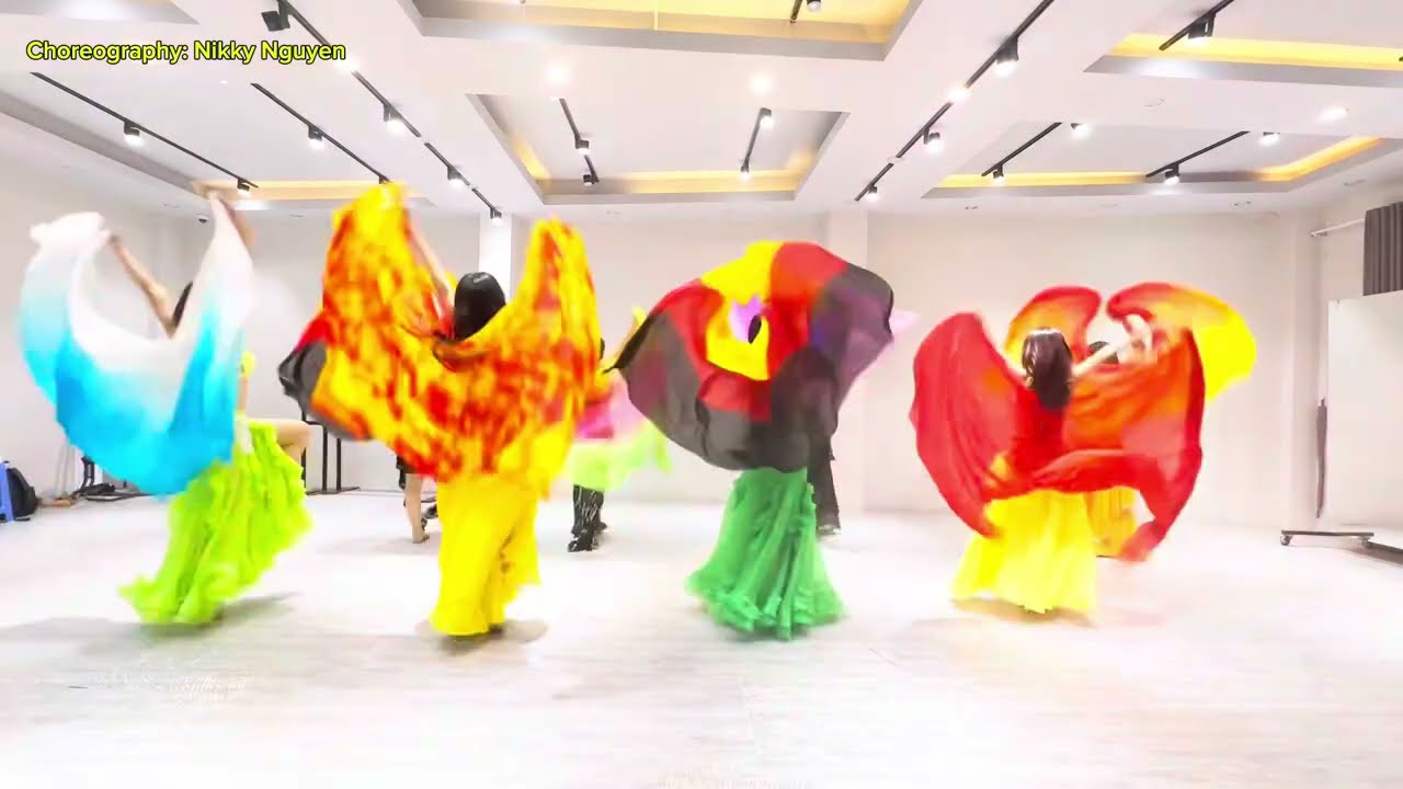 BREAKING FREE - PAUL DINLETIR - WITH VEIL - BELLY DANCE - NIKKY NGUYEN