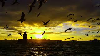 Yente Bharangal Chumakkunavan Yente Papangal Shemikunavan