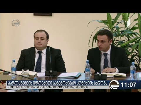 მოზარდების მკვლელობის საქმეზე საგამოძიებო კომისიის სხდომა კამათის ფონზე მიმდინარეობს