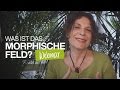 Was ist das morphische Feld? (Webinar 11.05.2017)