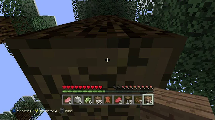 Minecraft Alivepenguin989 my new house